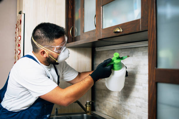 Best Rat Extermination Near Me  in Gouldtown, NJ