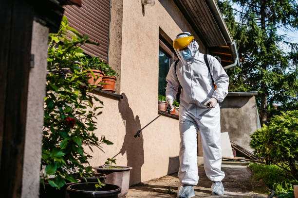 Best Termite Control Services  in Gouldtown, NJ