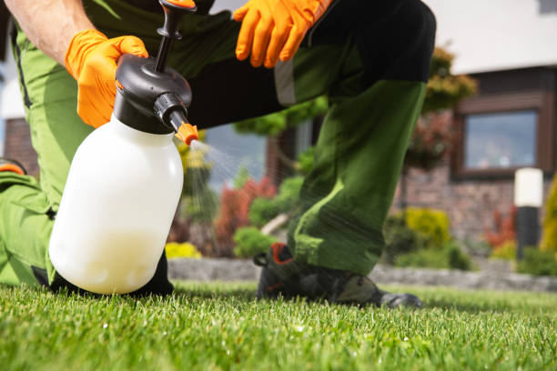 Best Flea Control Services  in Gouldtown, NJ