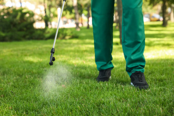 Best Cockroach Control Services  in Gouldtown, NJ