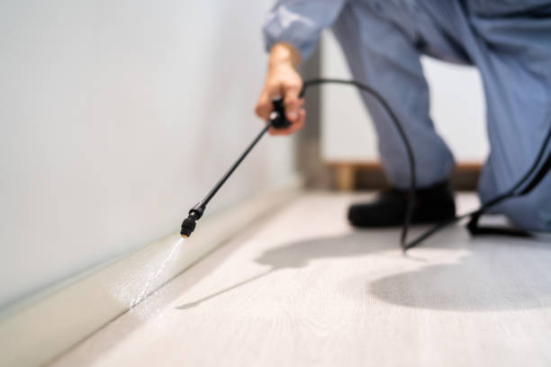 Wasp Removal Services in Gouldtown, NJ