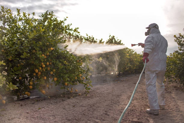 Best Pest Removal Services  in Gouldtown, NJ