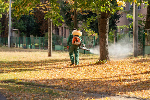 Best Residential Pest Control  in Gouldtown, NJ